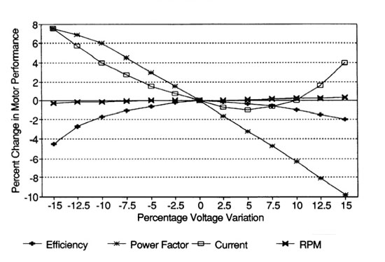 Voltage Variation Effects on Motor Performance